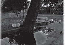 Sorrow