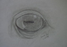 Horses eye