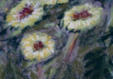 Four Flowers
