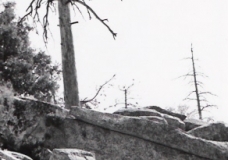 Idyllwild
