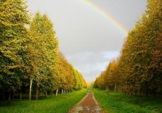 Paradise