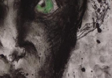 One of the Seven Deadly Sins: Envy Close up 1