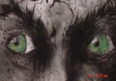 One of the Seven Deadly Sins: Envy Close up 2