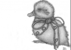 Duckling