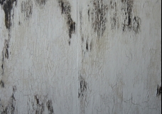 Crackle