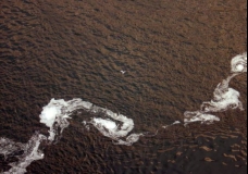 Flight Over Water