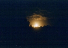 Full Moon over the Forest - Luna Llena sobre el Bosque