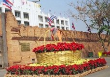 Flower Basket