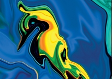 Soul Bird 5