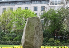 Rock
