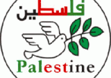 Tareq