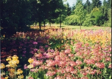 Stanley Park