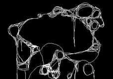 Entangled