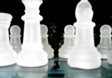 Chess-E-ROO