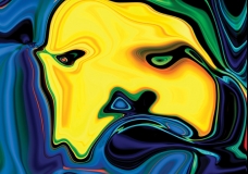Musk 2