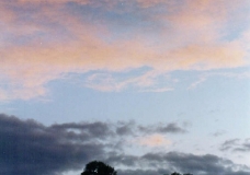 Sunset In Sydney - Atardecer en Sydney