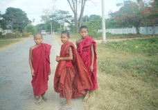 Young Burmese Monks