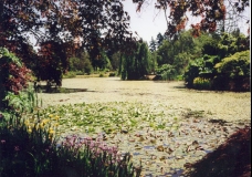 Botanical Gardens
