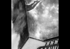 Dive