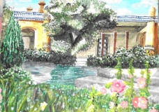 The Garden