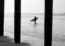 Surf