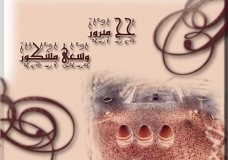 Eid Al Hajj