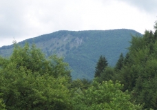 Planina....