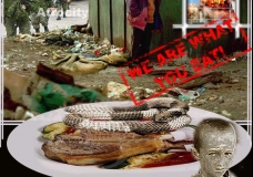 We Are what You Eat