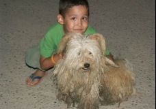 Boy and his dog