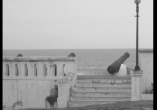 Cannon
