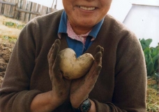 Potato Love