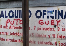 El Lenguaje como Violencia - Perla González