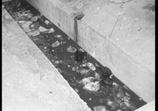 Drainage