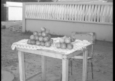 Selling Fruit
