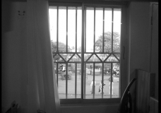 Window