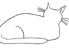 My Cat 1