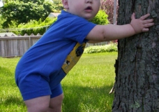 Tree Hugger!