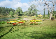 Flower Beds in Maymyo