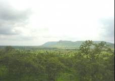 How Green is My Country!