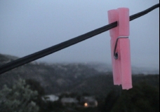 Pink Hope