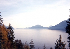 Canada No. 1