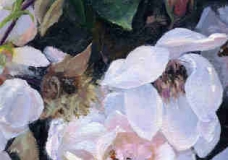 Rose Garden