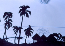 Blue Hawaii