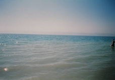 The Dead Sea