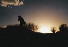 Sunset In The Sand