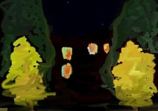 Night Stars