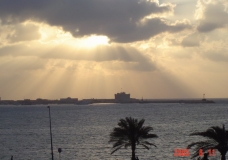 Sun Rays