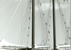 Harbourfront