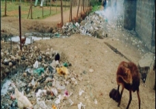 Environment Degradation