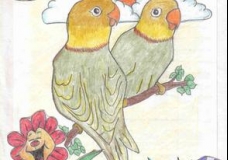 Birdies